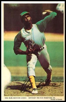 25 Vida Blue